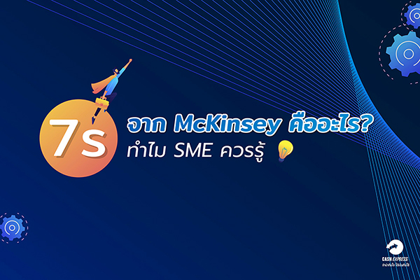 7s McKinsey SME