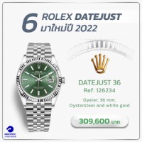 Rolex Datejust 36 Ref: 126234 Oyster, 36 mm, Oystersteel and white gold 